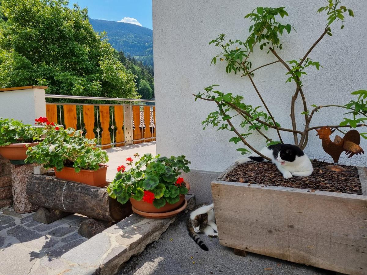 Ferienwohnungen Koflerhof 카스텔로토 외부 사진